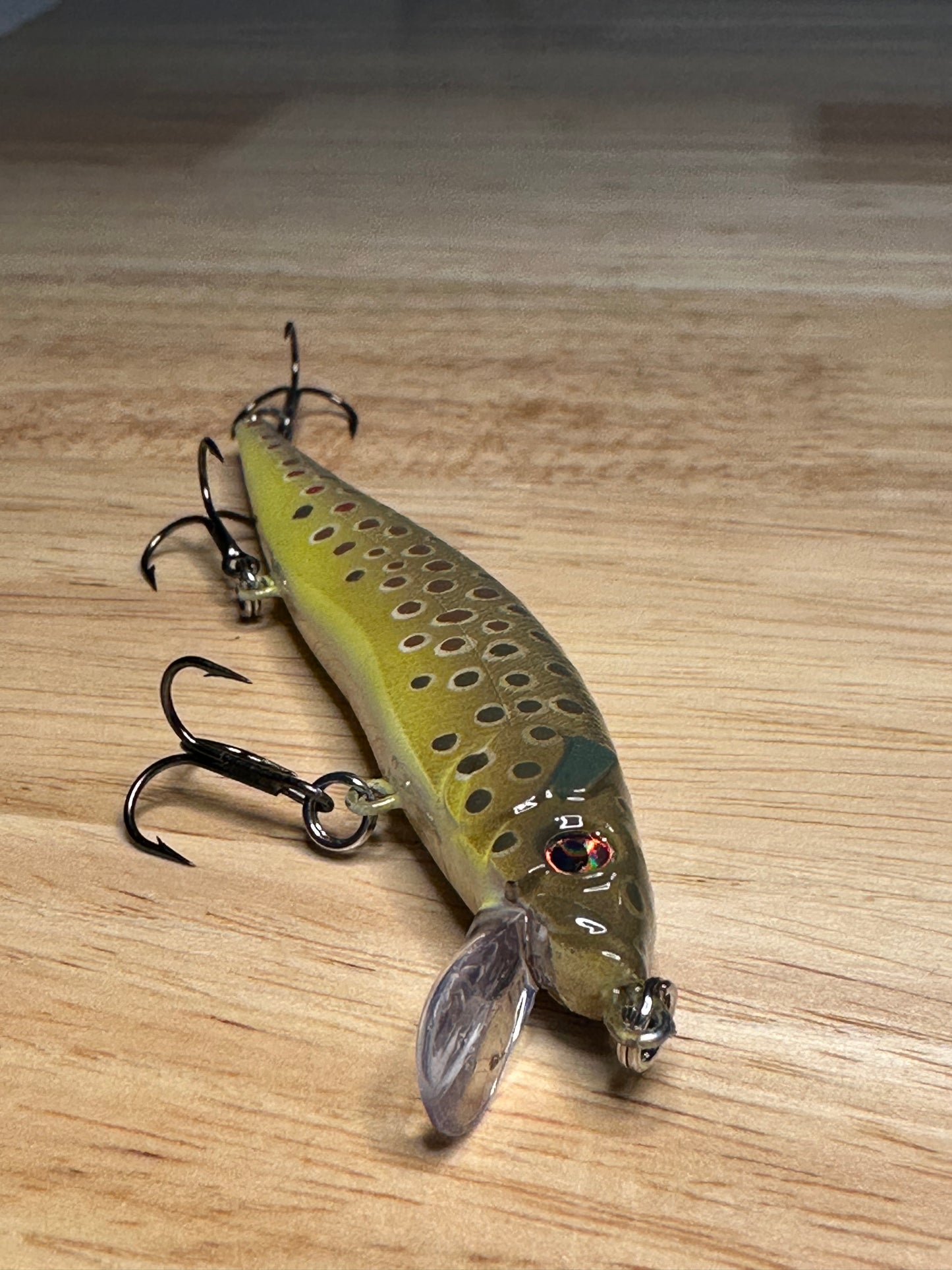 4.75” Wild Brown Trout Jerkbait (3/3)