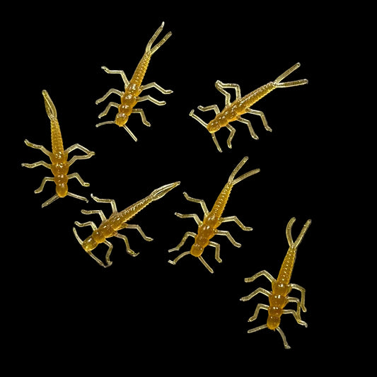 1.75” Glistening Gold Stonefly (8-pack)