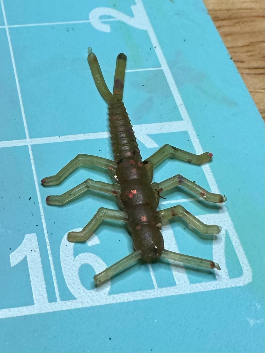 1.75” Pumpkin Spice Stonefly (Garlic Scented) 5-pack