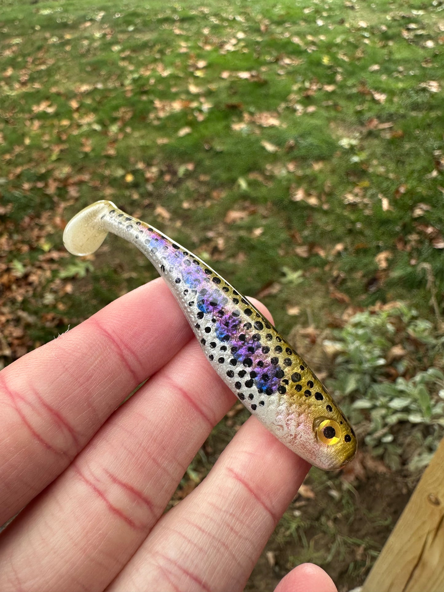 3” Rainbow Trout Paddletail