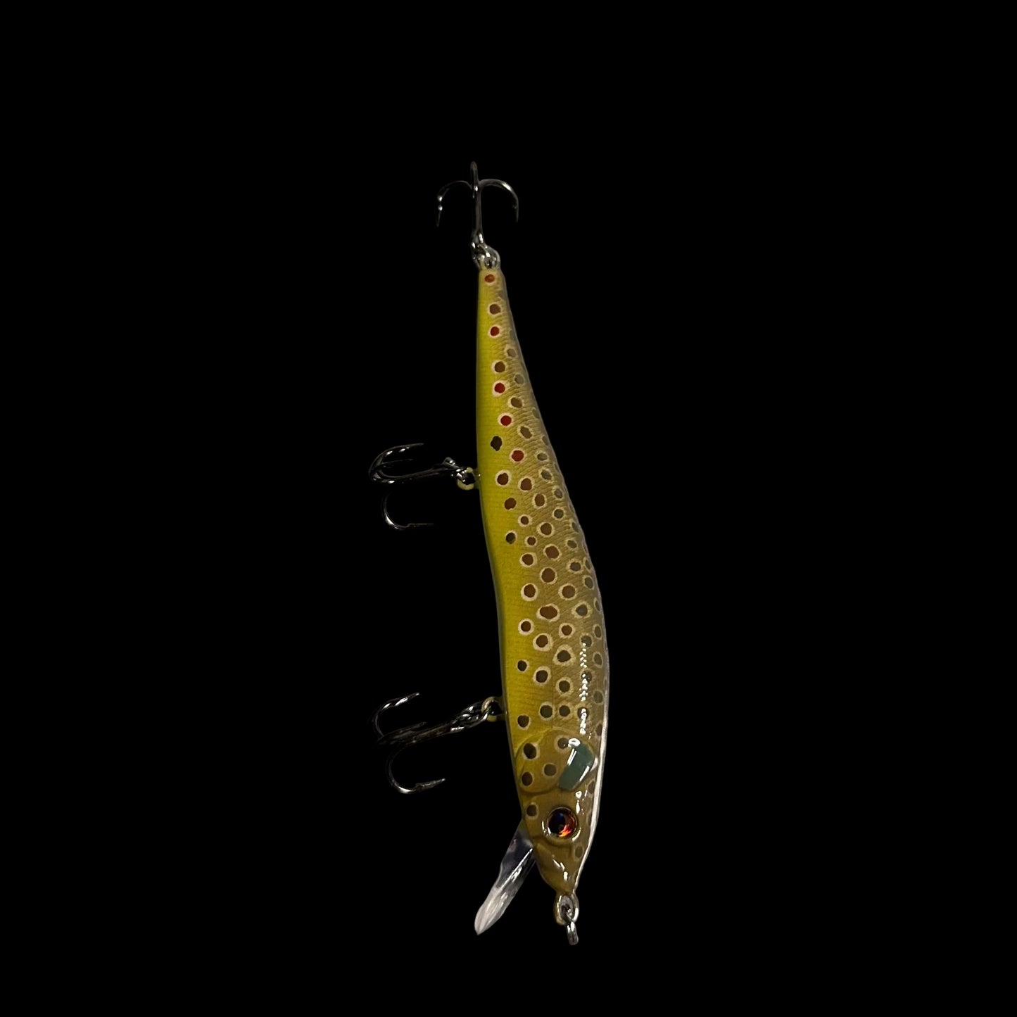 4.75” Wild Brown Trout Jerkbait (3/3)