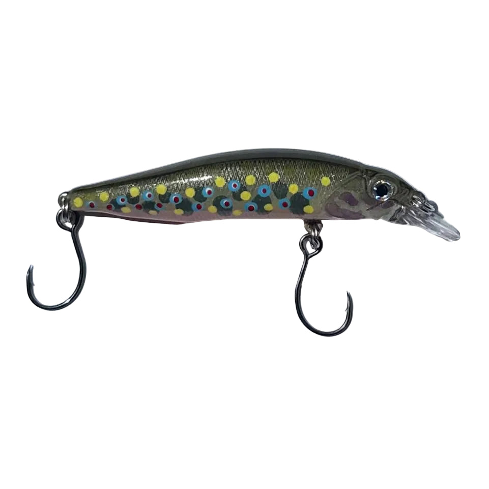 Native Brook Trout UFJ