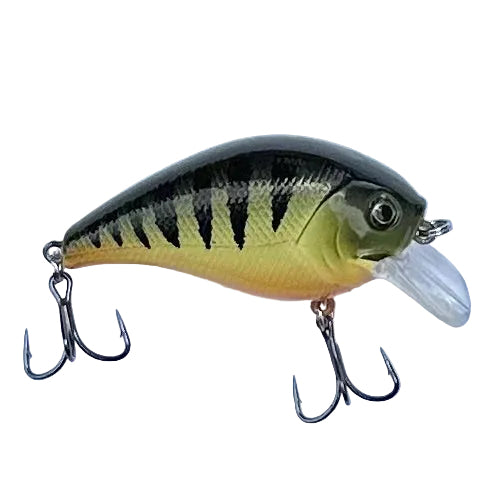 Yellow Perch SBC250