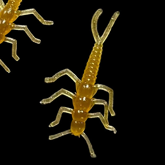 1.75” Glistening Gold Stonefly (8-pack)