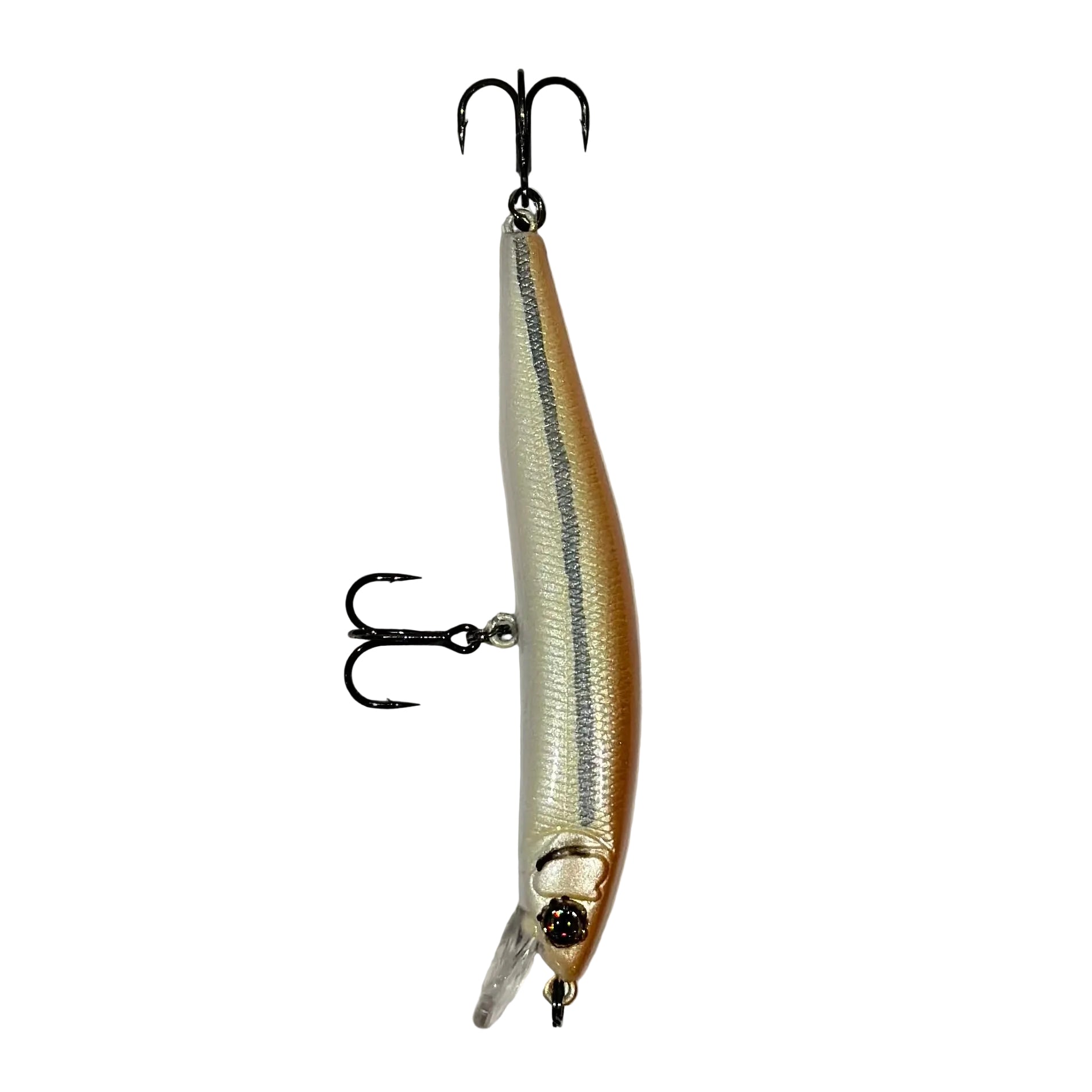 Fathead Minnow