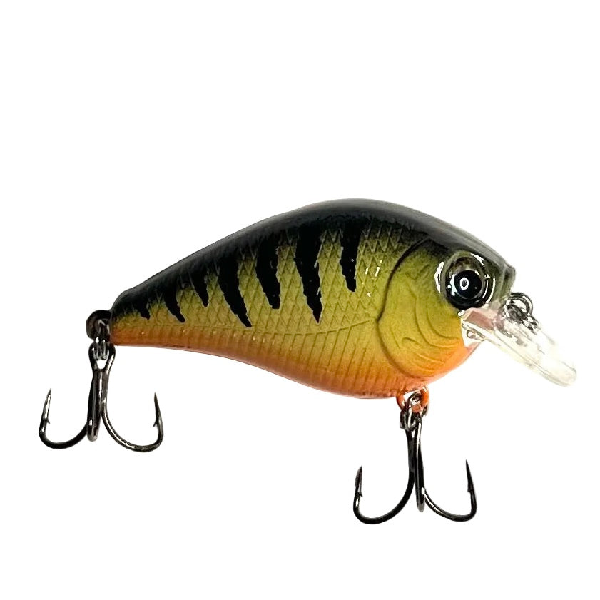 Yellow Perch MSBC200