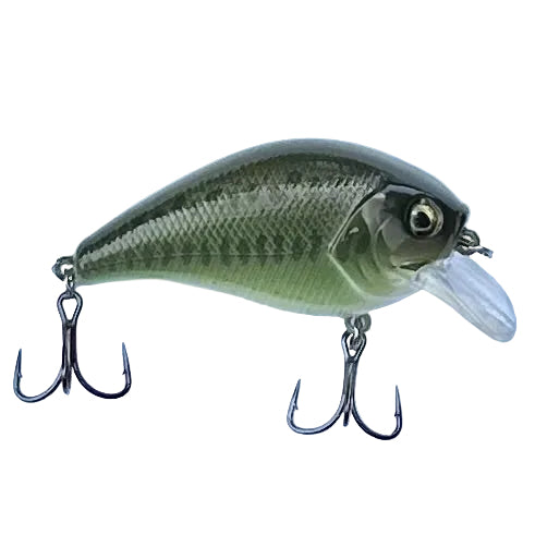 Largemouth Bass SBC250