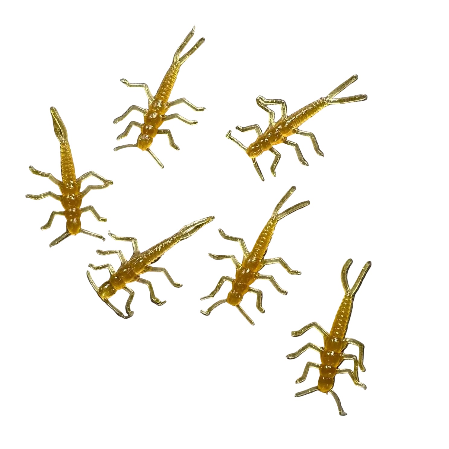 Glistening Gold Stonefly (8-pack)