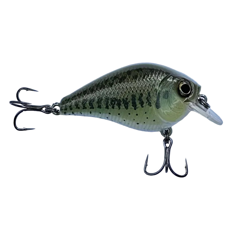 Largemouth Bass MSBC200