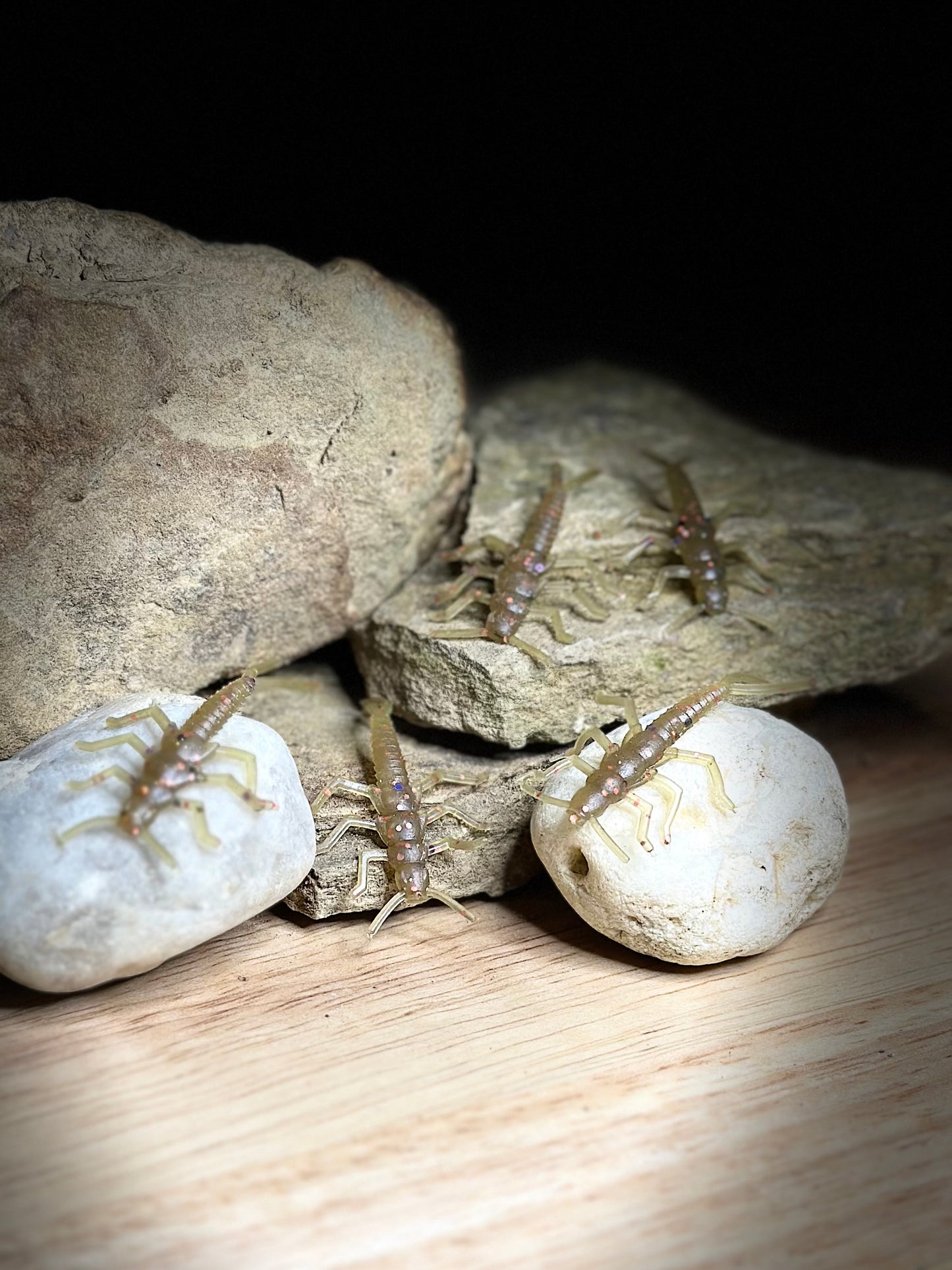 1.75” Pumpkin Spice Stonefly (Garlic Scented) 5-pack