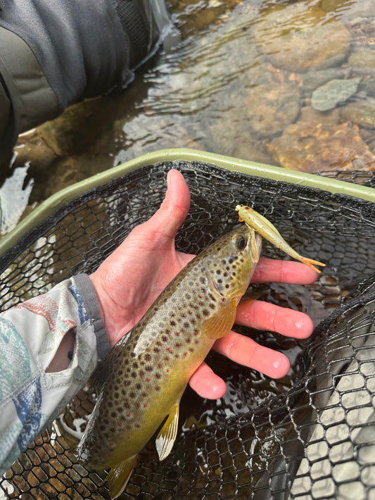 3” Brown Trout Minnow (4-pack)