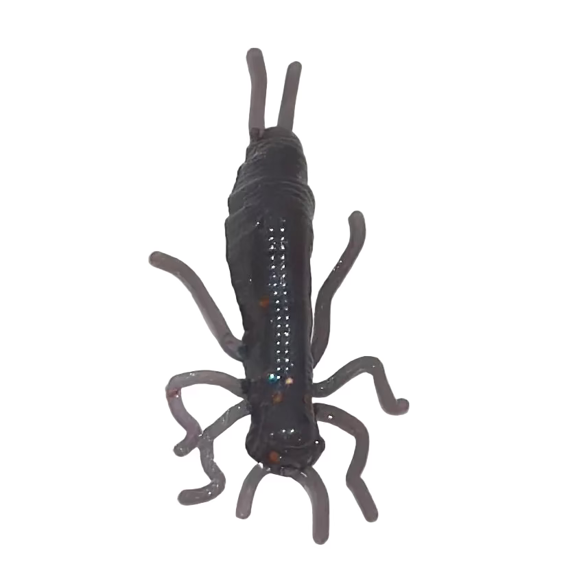 Purple Nurple Dragonfly Larvae