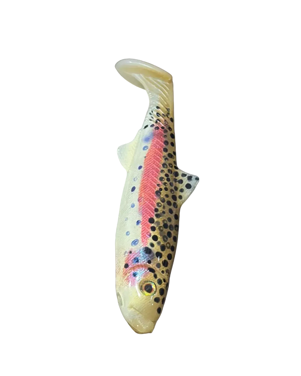 4.5” Tricked-Out Rainbow Trout (Hollow Body)