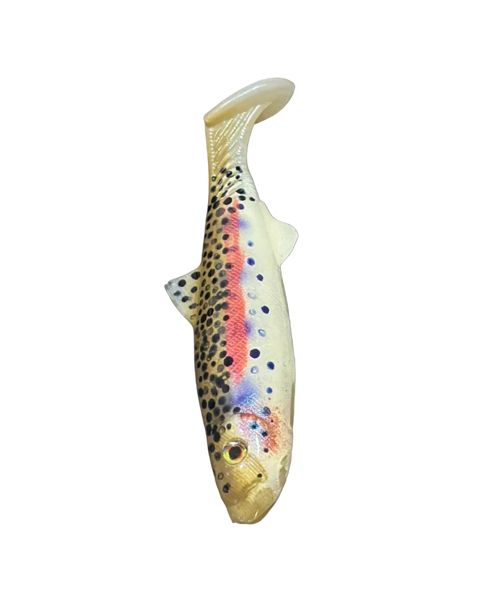 4.5” Tricked-Out Rainbow Trout (Hollow Body)